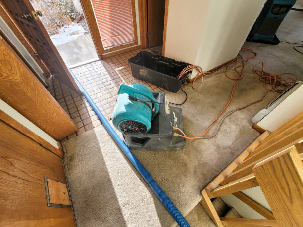 Best Local water damage restoration  in Anderson, MO