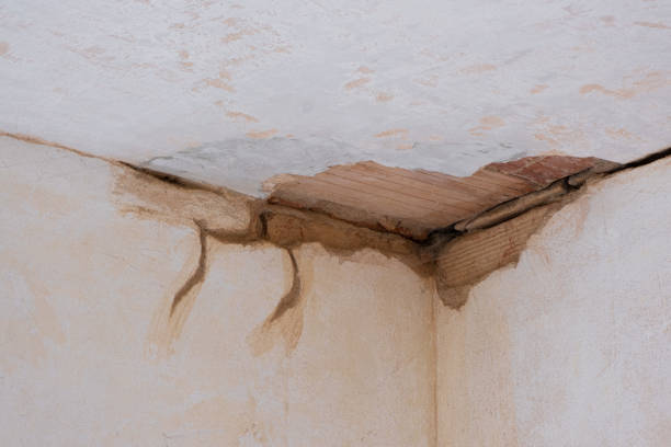 Best Emergency water damage restoration  in Anderson, MO