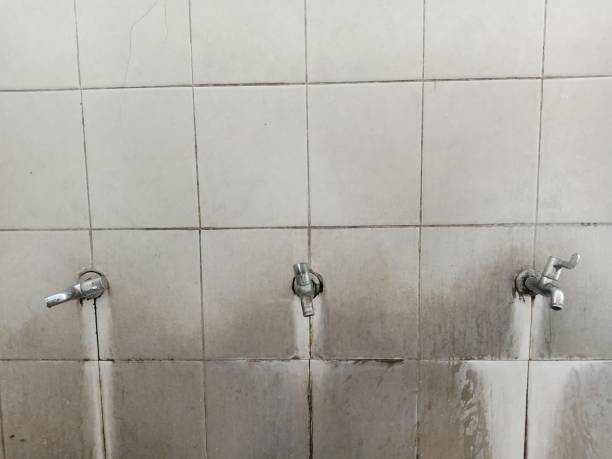 Best Flood damage cleanup  in Anderson, MO